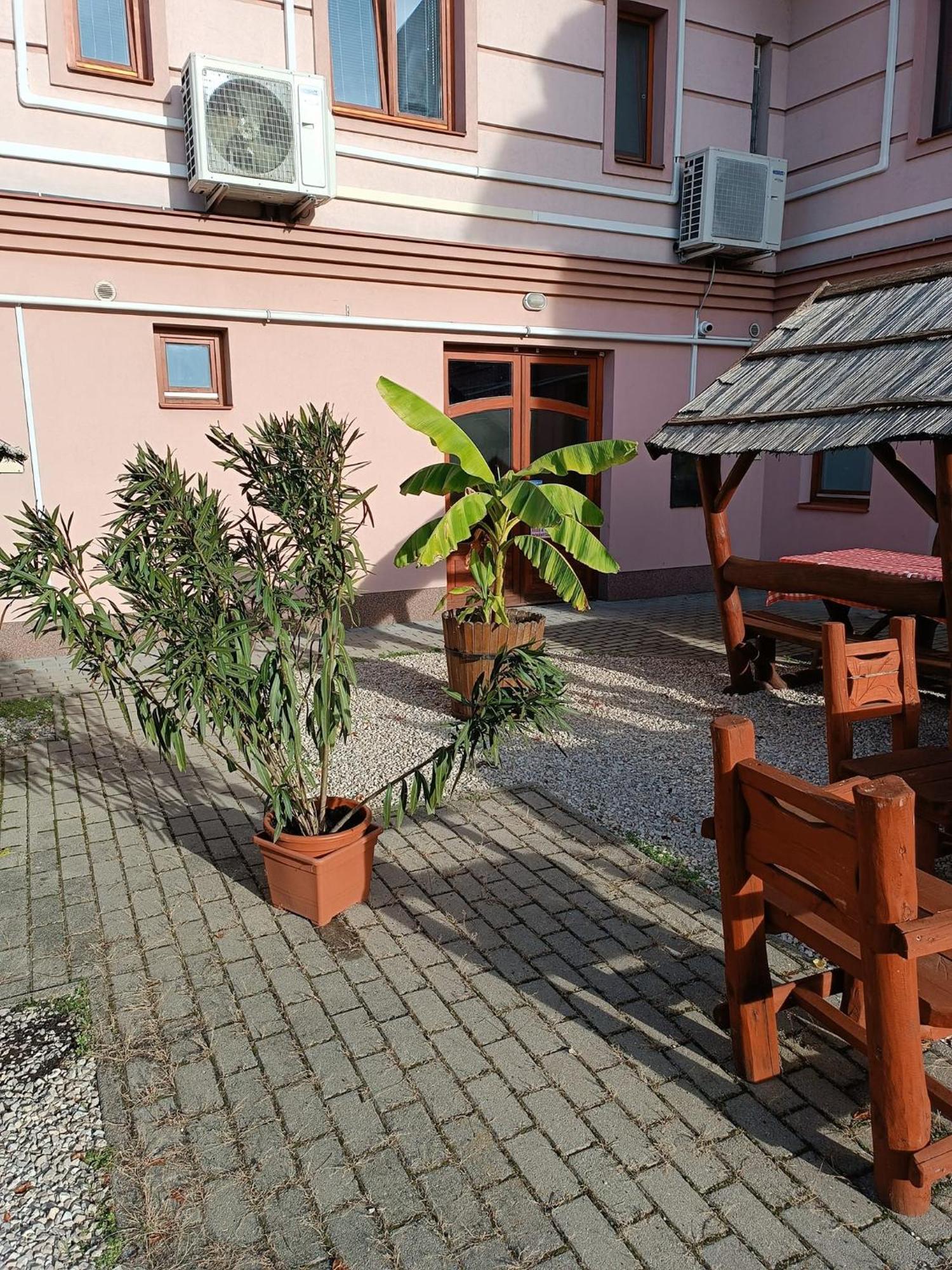 Malom Panzio Bed and Breakfast Kiskunfélegyháza Εξωτερικό φωτογραφία